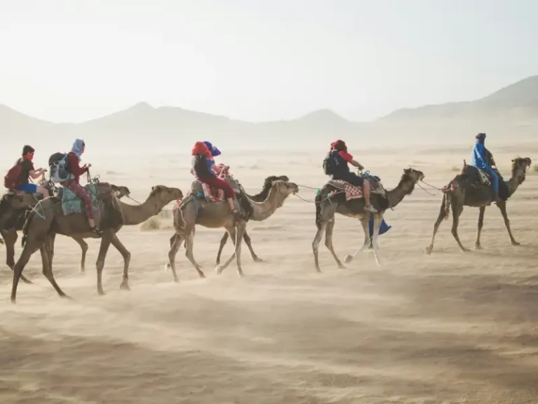 Social travel