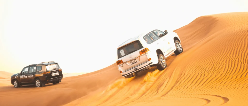 Desert safari