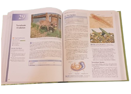 AP Biology 14e | Mc Graw Hill